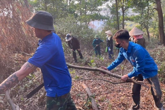 Chí Linh quản lý nghiêm việc đốt dọn rừng, thực bì