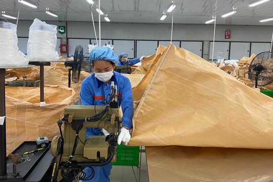 Hai Duong strives for newly-established businesses to increase by 10%