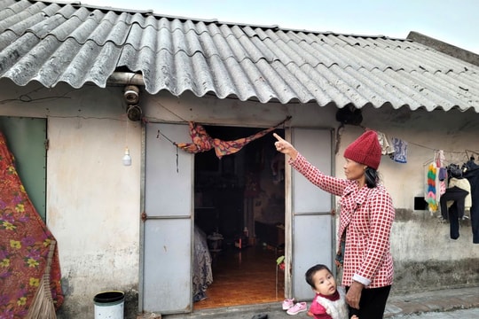 Hỗ trợ 1.568 hộ người có công, hộ nghèo, cận nghèo xây dựng, sửa chữa nhà ở trong năm 2025