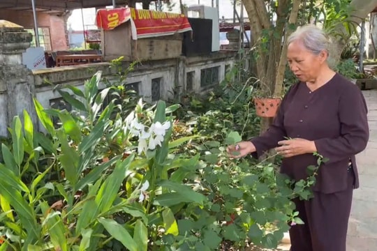 Xây dựng 4 mô hình du lịch kết hợp chăm sóc sức khoẻ bằng y dược cổ truyền