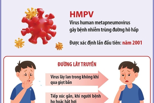 Điều trị bệnh đường hô hấp do virus HMPV như thế nào?
