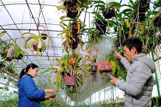 Xây dựng công nghiệp sinh học trở thành ngành kinh tế - kỹ thuật quan trọng