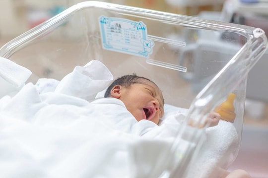 Nhật Bản cảnh báo chỉ còn duy nhất một trẻ em vào năm 2720