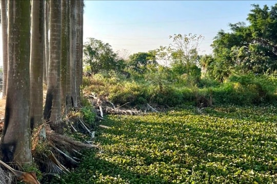 Không phải cưỡng chế thu hồi đất Dự án Khu dân cư đô thị nam cầu Hàn, TP Hải Dương