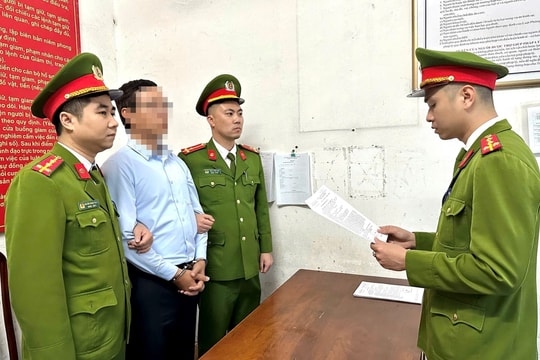 Khởi tố nguyên Tổng Giám đốc Công ty CP Xi măng Hạ Long