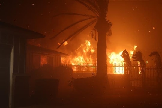 Lính cứu hỏa Los Angeles bất lực vì cạn nước chữa cháy