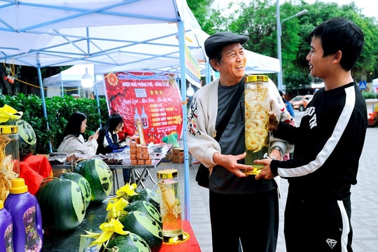 Thời tiết dịp Tết Nguyên đán 2025 sẽ thế nào?