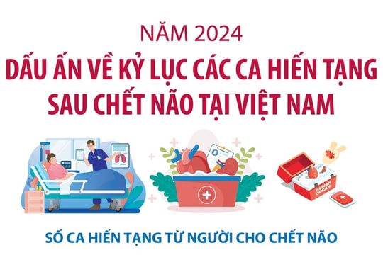 Số ca hiến tạng sau chết não tại Việt Nam trong năm 2024 cao kỷ lục