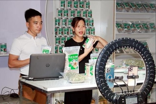 Thông tin ‘Cơ quan thuế truy cập vào tài khoản để truy thu thuế’ là không chính xác