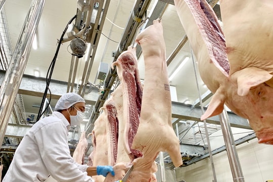 Sản lượng thịt gia súc, gia cầm ở Hải Dương đồng loạt tăng
