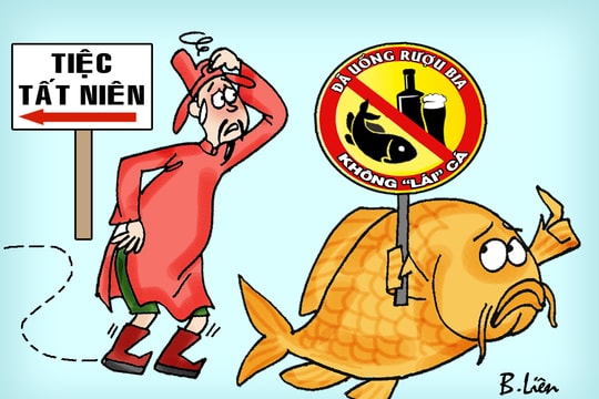 Táo quân mà uống rượu bia cũng không được lái... cá