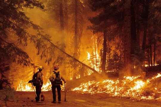 Thống đốc bang California đối diện nguy cơ bị bãi nhiệm do thảm họa cháy rừng