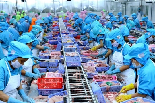 Aquatic exports hit 10 billion USD in 2024