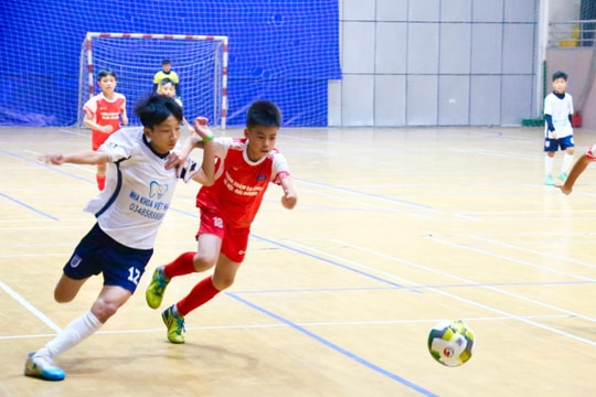 168 cầu thủ tham gia Giải bóng đá học sinh tiểu học tỉnh Hải Dương