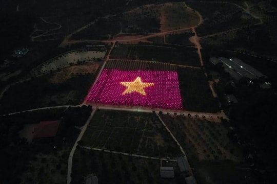 Biến vườn thanh long thành cờ Tổ quốc