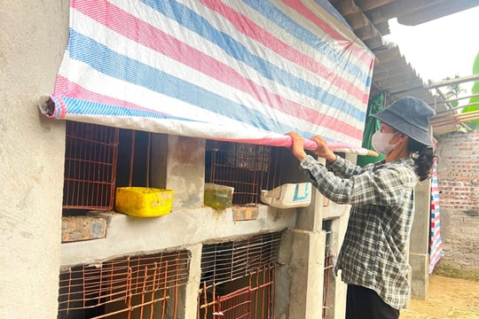 Hải Dương ứng phó đợt rét sâu dịp Tết