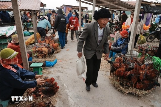 Chợ Vé cuối năm, chợ phiên đặc trưng vùng đồng bằng Bắc Bộ