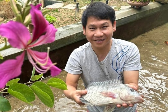 Trọng Tấn bắt cá, gói bánh chưng đón Tết