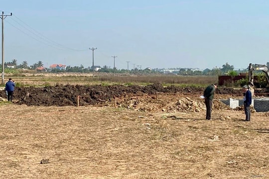 Đề xuất miễn, giảm tiền thuê đất cho dự án nông nghiệp