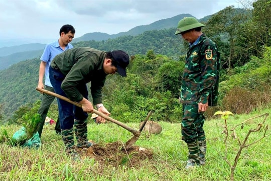 Hải Dương đẩy mạnh trồng rừng thay thế