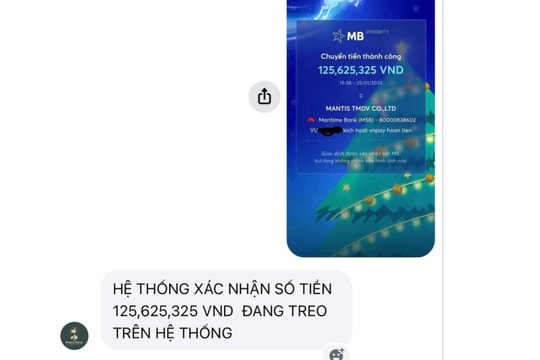 Du khách 'như bị thao túng tâm lý' khi chuyển khoản 1 tỷ đồng đặt phòng