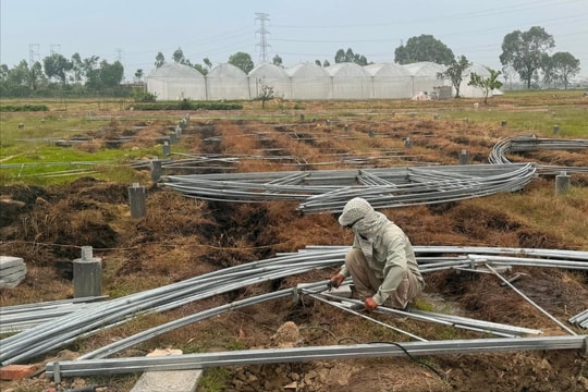 88 hộ dân ở Gia Lộc được hỗ trợ hơn 20 tỷ đồng xây dựng nhà màng