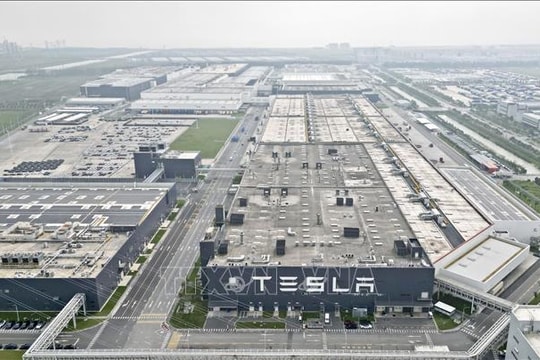Tesla đưa nhà máy pin Megapack ở Thượng Hải đi vào hoạt động