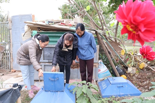 Phụ nữ Tứ Kỳ làm sạch môi trường