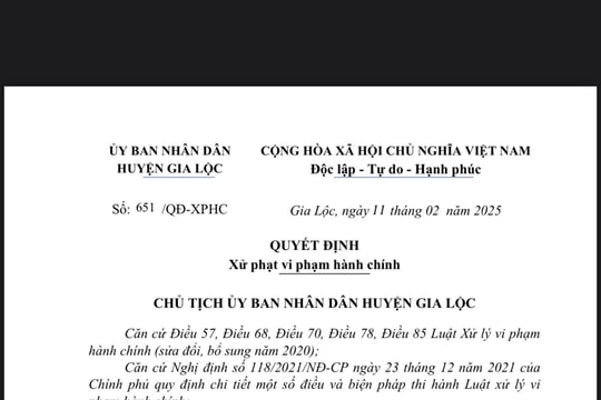 Vi phạm về môi trường, 1 tổ chức và 1 cá nhân ở Gia Lộc bị phạt gần 140 triệu đồng