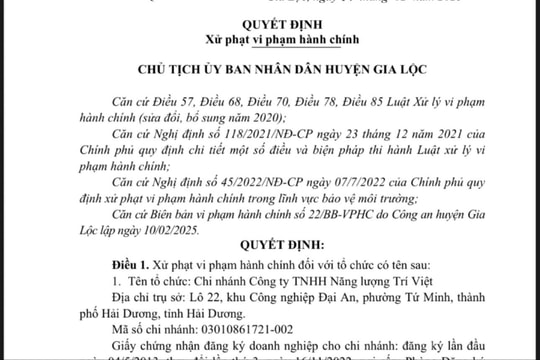 Chi nhánh Công ty Năng lượng Trí Việt bị phạt nặng do lưu giữ tro xỉ không đúng quy định