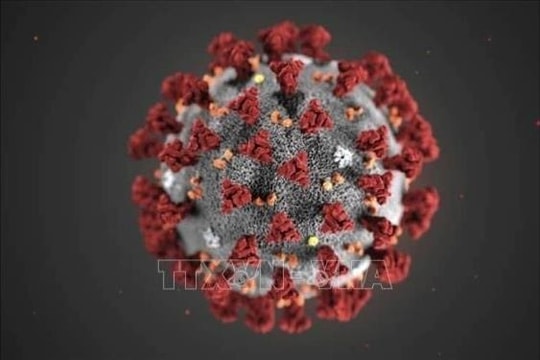 Giới khoa học trấn an về thông tin chủng virus corona mới có thể xâm nhập tế bào người