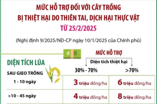 Mức hỗ trợ đối với cây trồng bị thiệt hại do thiên tai, dịch hại thực vật