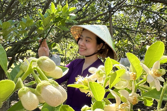 Khúc tháng ba
