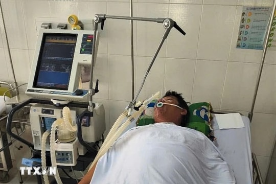 4 người nhập viện vì ngộ độc do ăn cá nóc