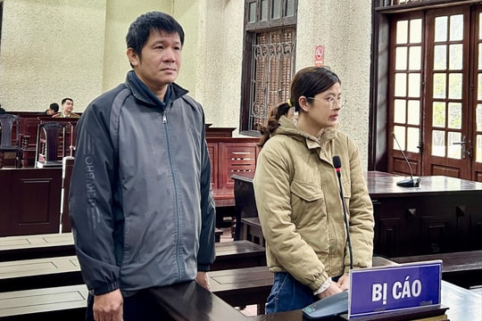 Che giấu tội phạm, giám đốc và kế toán Công ty CP Bất động sản và du lịch Bitoco lĩnh án