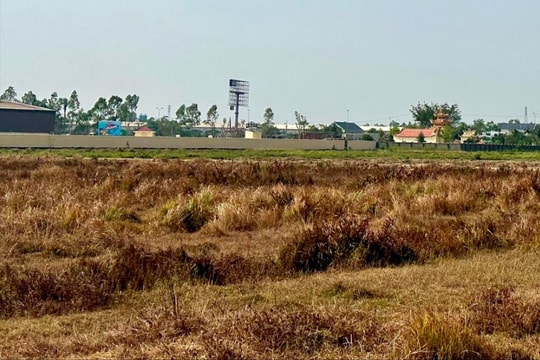 Thu hồi hơn 34,7 ha đất dự án của Công ty CP Vinamit ở TP Hải Dương