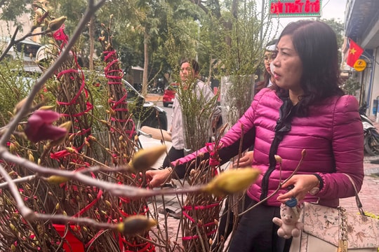 2 ngày cuối tuần, thời tiết Hải Dương chuyển rét