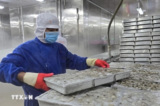 Mỹ công bố áp thuế đối ứng cao với 25 nền kinh tế, trong đó có Việt Nam