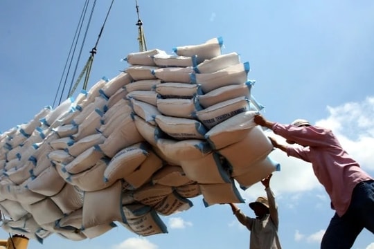 'Mức thuế Hoa Kỳ dự kiến áp cho hàng hóa Việt Nam là chưa công bằng'