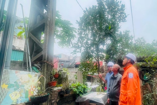 Cải tạo lưới điện để xóa vi phạm