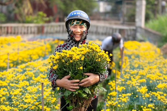 Gửi lòng thành về với tổ tiên dịp Tết Thanh minh