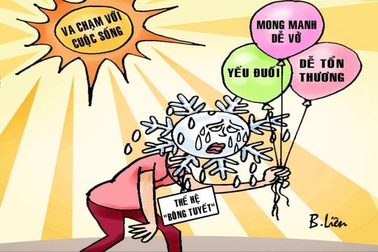 Nỗi lo 'thế hệ bông tuyết'