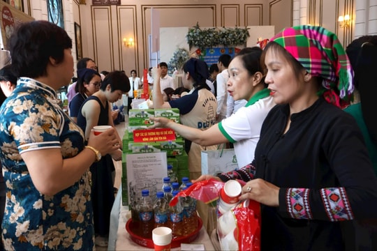 Nearly 500 units participate in 'Trade Connection Festival'