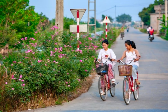 Làng quê Thái Tân (Nam Sách) xanh từ nhà ra ngõ