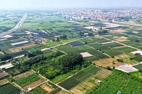Đất đấu giá tỉnh lẻ có giá trúng cao hơn các huyện ở Hà Nội, vì sao?