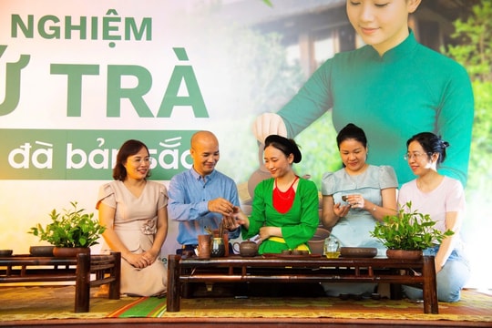Enjoy Tan Cuong tea (Thai Nguyen) at the farmstay