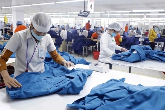 Vietnam’s labor market modernised toward deeper global integration