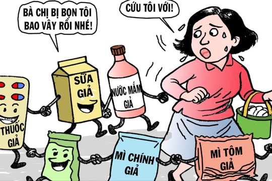 Fear of fake food