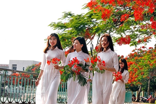 Rưng rưng mùa hoa học trò