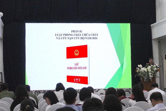 Đợt 1 Cuộc thi tìm hiểu pháp luật trực tuyến năm 2025 bắt đầu từ ngày 25/5